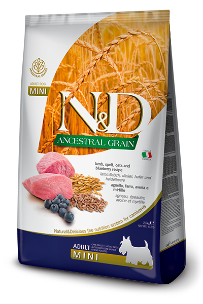 119_02_nd-Low-Ancestral-Grain-canine-Adult-Mini-LAMB@web