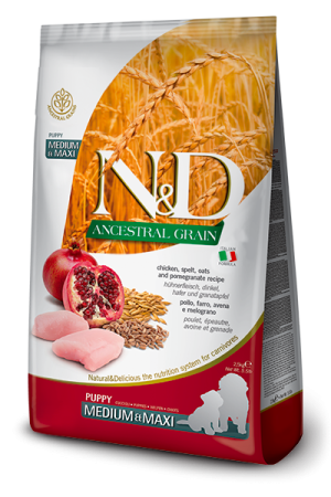 FARMINA N&D Ancestral Pollo & Melograno - Puppy Medium