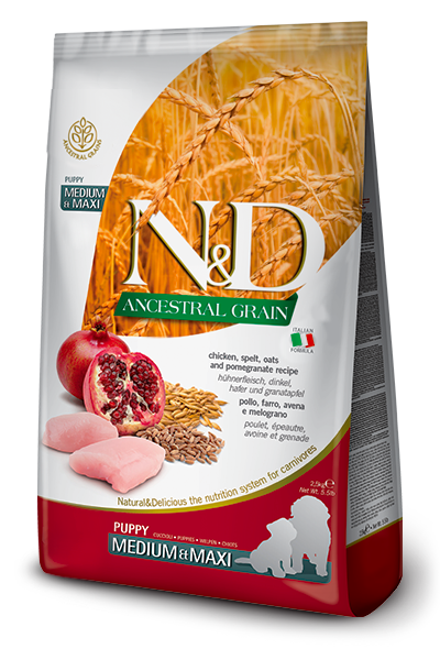 593_43_nd-ancestral-canine-puppy-medium_maxi-CHICKEN@web