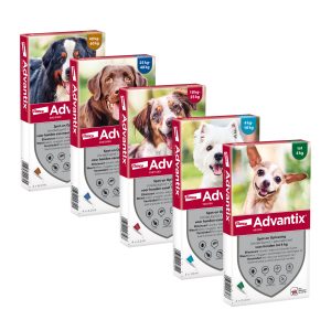 Advantix Spot-on per Cani