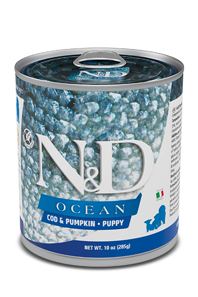 558_33_558_32_nd-ancestral-ocean-285g-cod-pumpkin-puppy