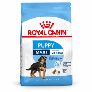 ROYAL CANIN – Puppy Maxi