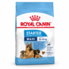 ROYAL CANIN Starter Mother & Babydog maxi
