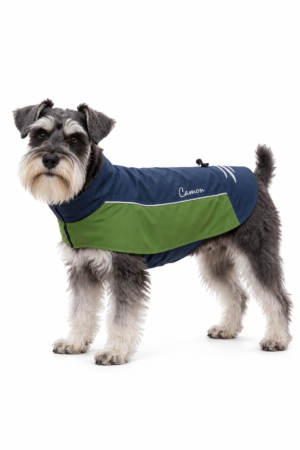 Schnauzer nano con impermeabile Camon Brema verde e blu su sfondo bianco