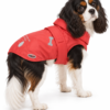 Cavalier King Charles con impermeabile rosso Camon Derry su sfondo bianco