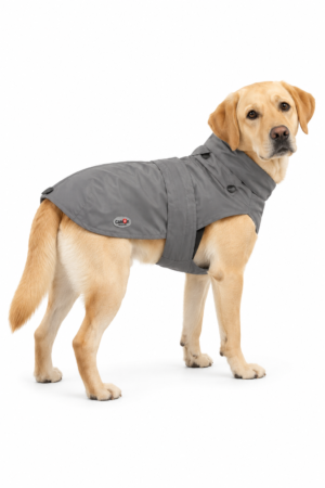 Labrador con impermeabile Camon Donald Grey grigio su sfondo bianco