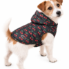 Jack Russell con giacca Camon Ibiza con fantasia ciliegie su sfondo bianco