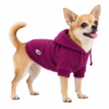 Chihuahua con felpa Camon Paco viola con cappuccio su sfondo bianco