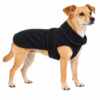 Cane con cappottino nero in pile Camon Lugano su sfondo bianco