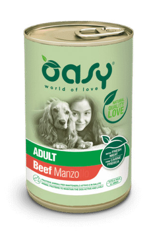 Oasy - Lifestage Paté Adult Manzo