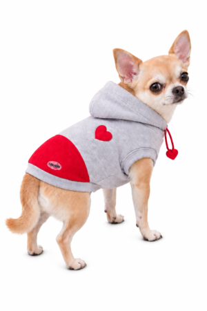 Chihuahua con felpa Camon Fragola grigia e rossa su sfondo bianco