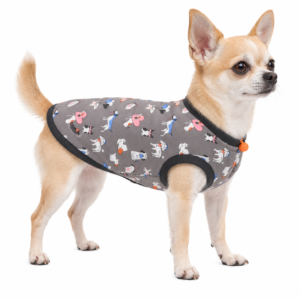 Chihuahua con cappottino Camon Dafne grigio a fantasia su sfondo bianco