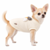 Chihuahua con felpa Camon Zoe color crema su sfondo bianco