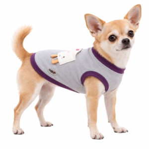 Chihuahua con felpa Camon Kawaii grigia e viola su sfondo bianco
