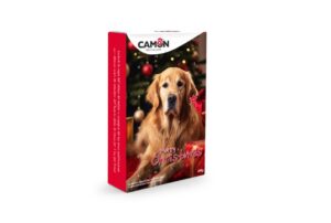 Camon Calendario Avvento