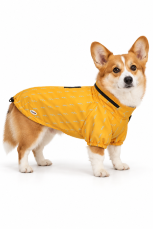 Corgi con impermeabile giallo Camon Dublino su sfondo bianco