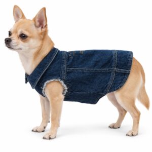 Chihuahua con giubbotto denim LIU JO