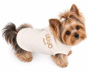 Liu Jo Pets panna con logo oro indossato da Yorkshire, vista dall’alto