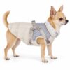 Chihuahua con piumino LIU JO Caramel e pettorina