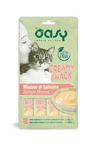Oasy Creamy Snack Salmone – 4 x 15 g