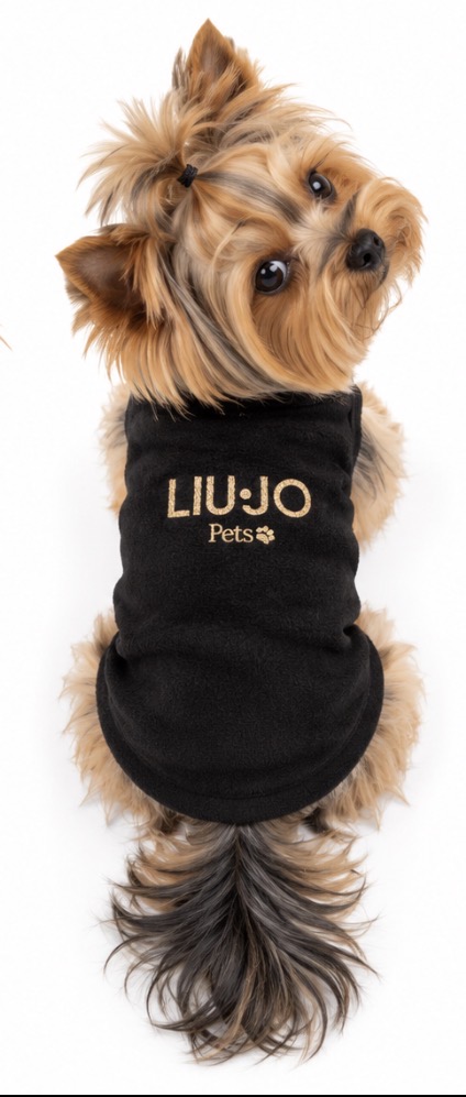Liu Jo Pets Fuocosa nera – vista dall’alto Liu Jo Pets Fuocosa nera con logo oro indossata da Yorkshire, vista dall’alto