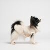 Liu Jo Pets Magliccia Caramel indossata da un cane, vista laterale