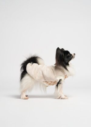 Liu Jo Pets Magliccia Caramel indossata da un cane, vista laterale