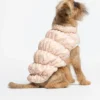 Piumino Liu Jo Bombello Caramel Lux indossato dal cane