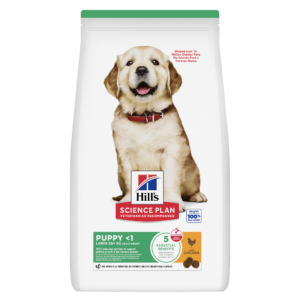Hill’s Science Plan Puppy Large Breed con Pollo