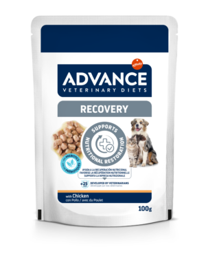 Advance Veterinary Diets Recovery cane e gatto bustina 100 g