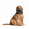 Copriorecchie e collo Liu Jo Pets Verde Militare indossato
