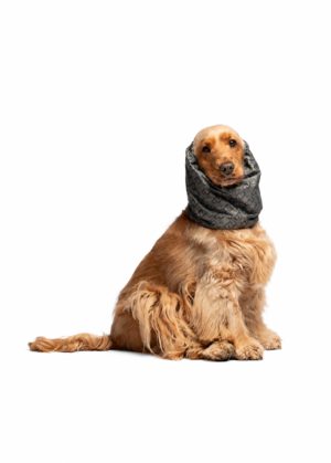 Copriorecchie e collo Liu Jo Pets Verde Militare indossato