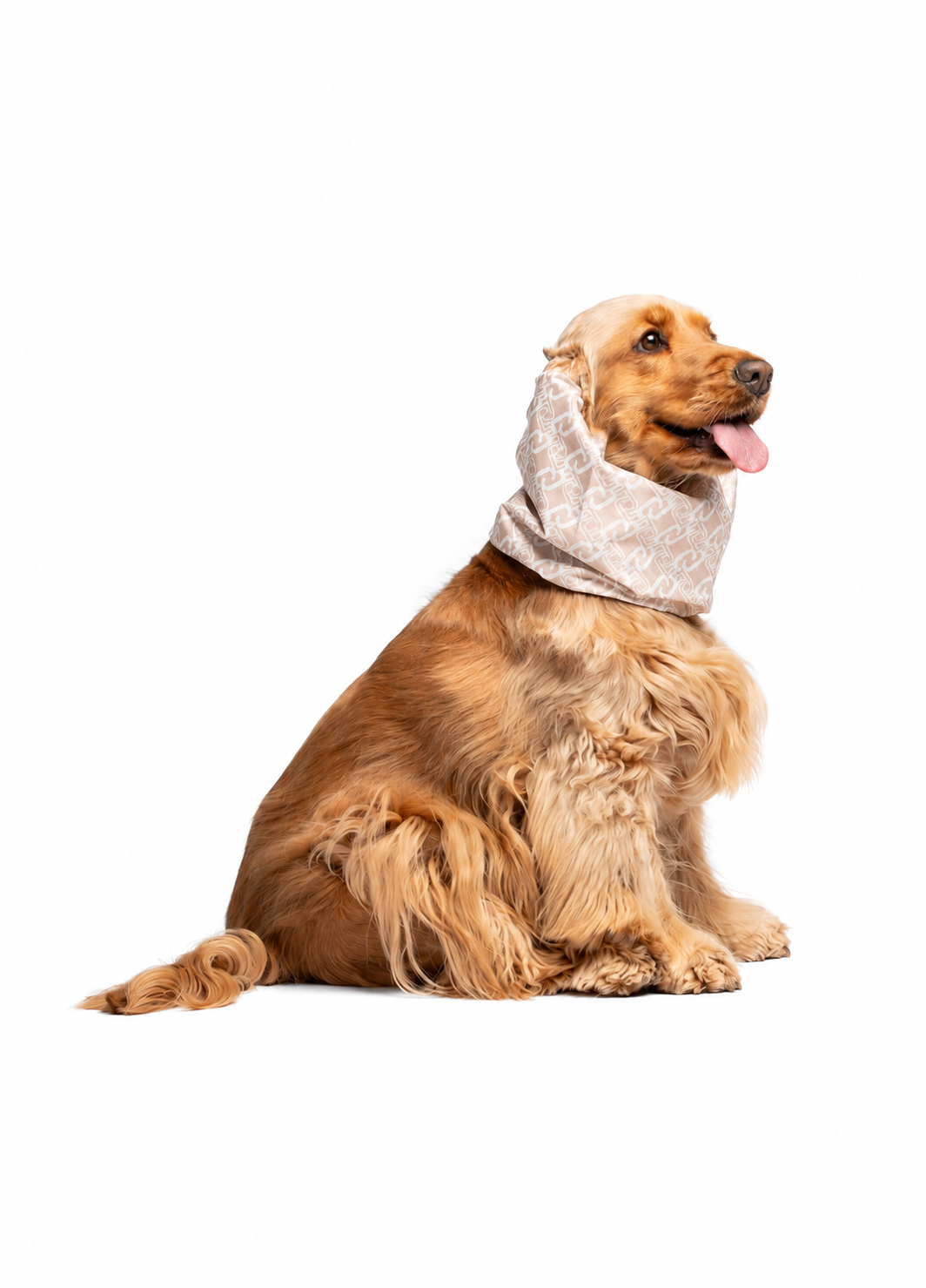 exec-0893126f-3c13-4cf5-9bbc-1971d947cd8d Copriorecchie e collo Liu Jo Pets Caramel indossato
