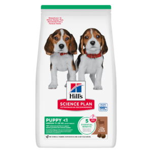 Hill’s Science Plan Puppy Medium con Agnello e Riso
