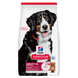 Hill’s Science Plan Adult Large Breed con Agnello e Riso