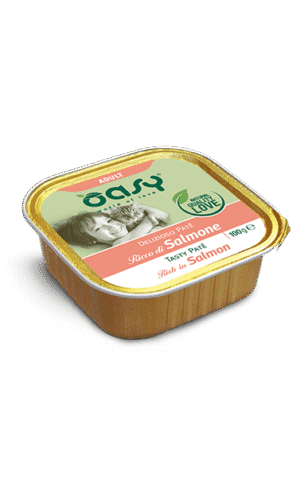 Oasy Delizioso Paté Adult con Salmone 100 g