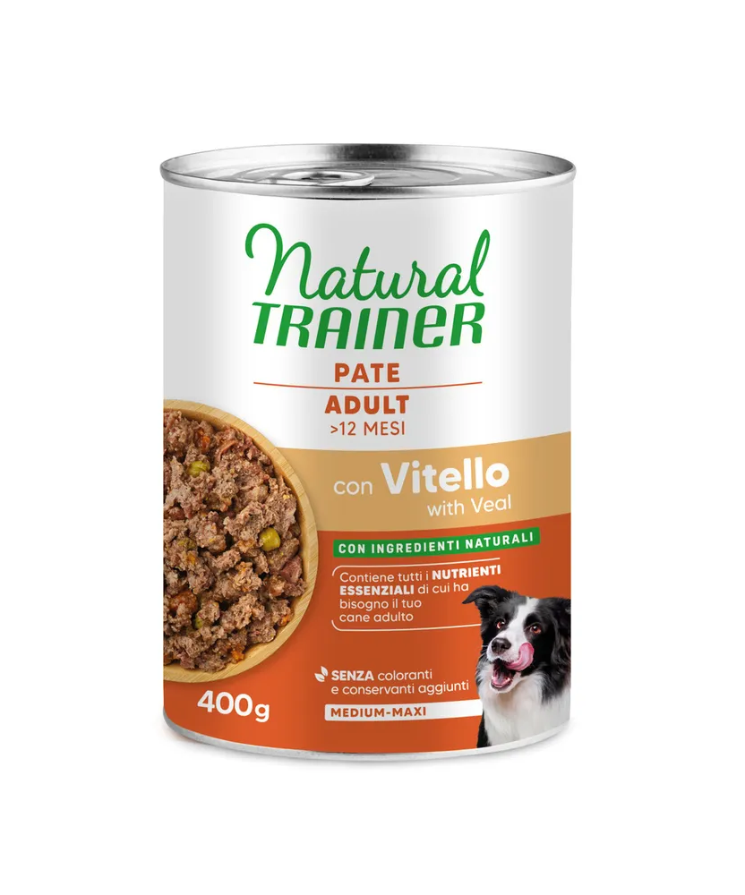 trainer-dog-sharp-968245